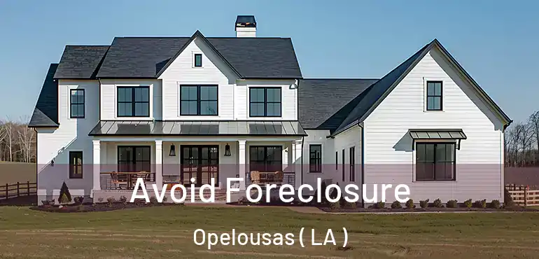  Avoid Foreclosure Opelousas ( LA )