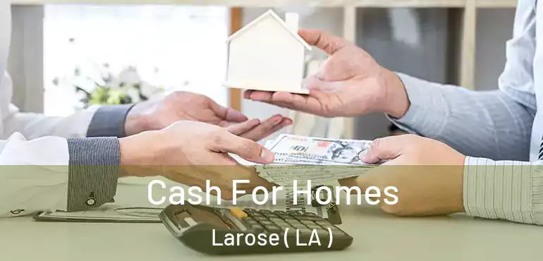  Cash For Homes Larose ( LA )