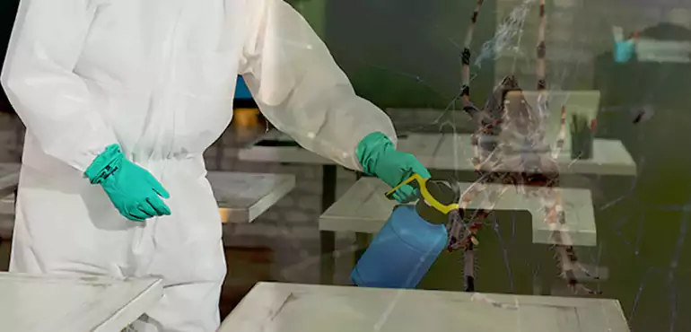 Why Buyers Still Want Homes With Pest Infestations in Fort Polk South, LA?