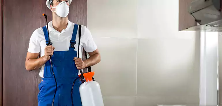 Why Fort Polk South Homeowners Choose Us When Pests Make Selling Difficult