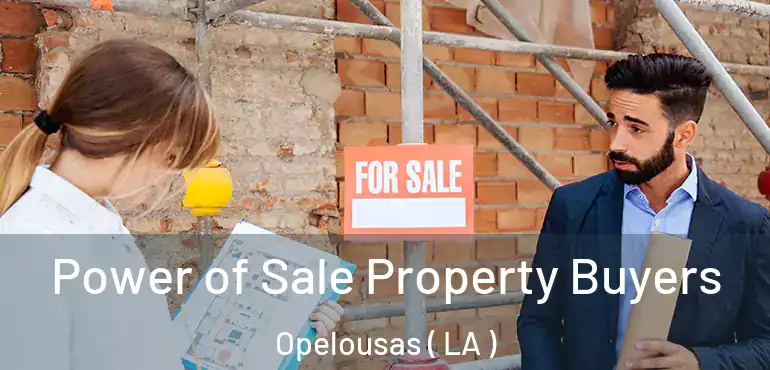  Power of Sale Property Buyers Opelousas ( LA )