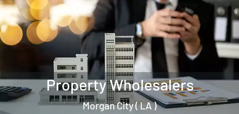  Property Wholesalers Morgan City ( LA )