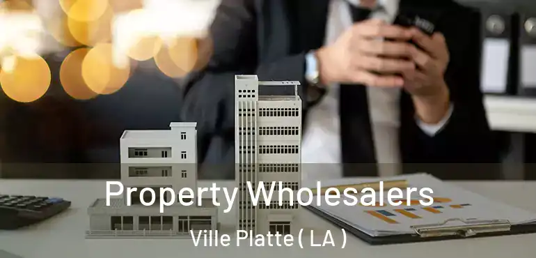  Property Wholesalers Ville Platte ( LA )