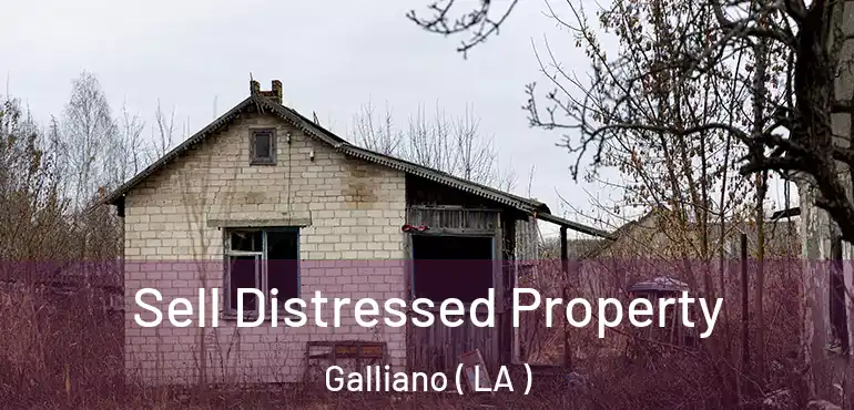  Sell Distressed Property Galliano ( LA )
