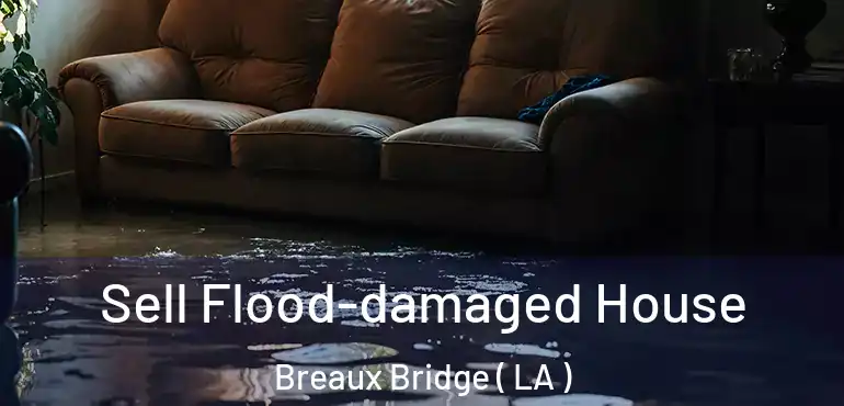  Sell Flood-damaged House Breaux Bridge ( LA )