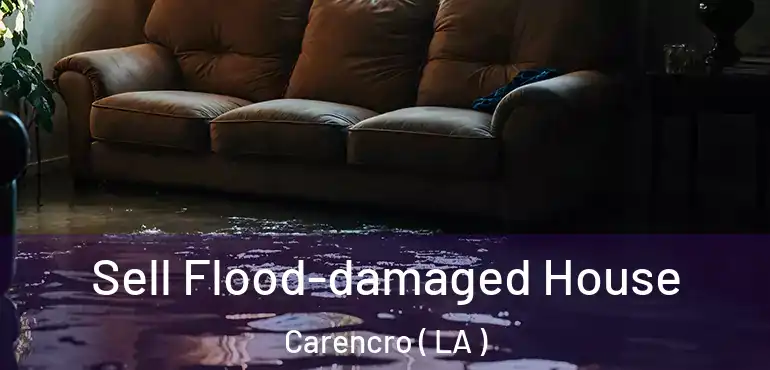  Sell Flood-damaged House Carencro ( LA )