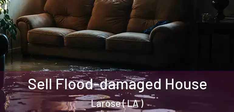  Sell Flood-damaged House Larose ( LA )