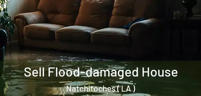  Sell Flood-damaged House Natchitoches ( LA )