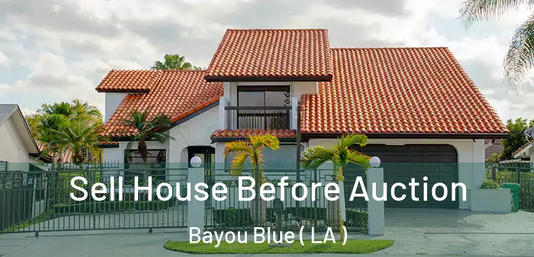  Sell House Before Auction Bayou Blue ( LA )