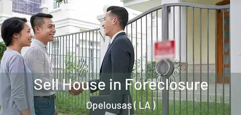  Sell House in Foreclosure Opelousas ( LA )