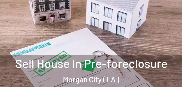 Sell House In Pre-foreclosure Morgan City ( LA )