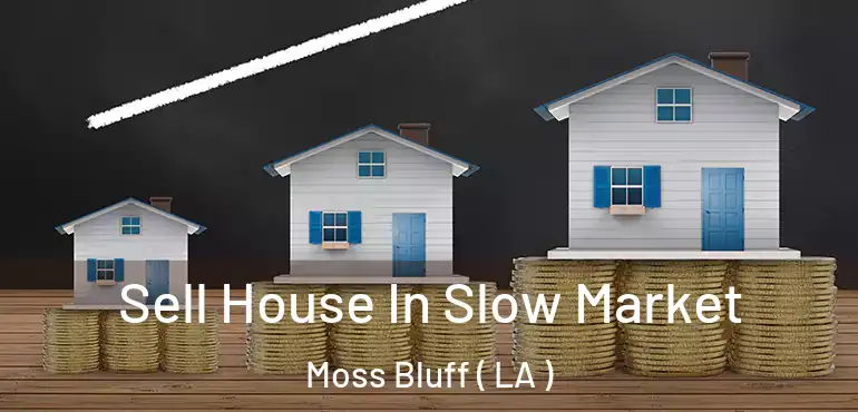  Sell House In Slow Market Moss Bluff ( LA )