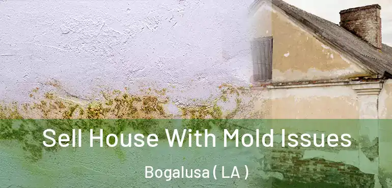  Sell House With Mold Issues Bogalusa ( LA )