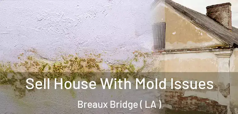  Sell House With Mold Issues Breaux Bridge ( LA )