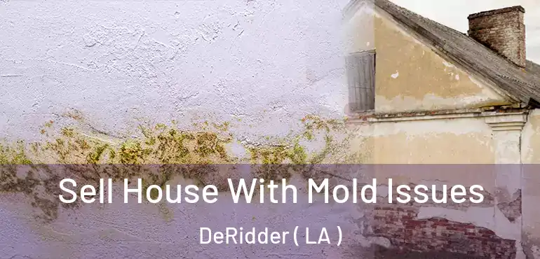  Sell House With Mold Issues DeRidder ( LA )