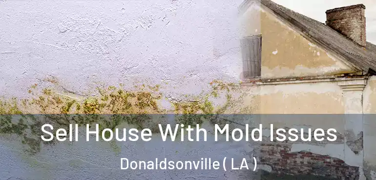  Sell House With Mold Issues Donaldsonville ( LA )