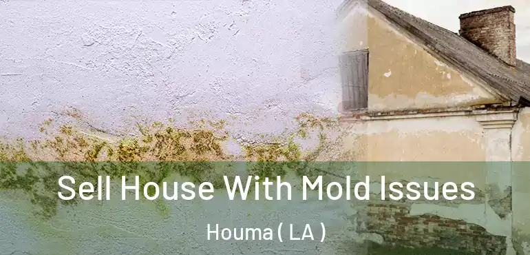  Sell House With Mold Issues Houma ( LA )