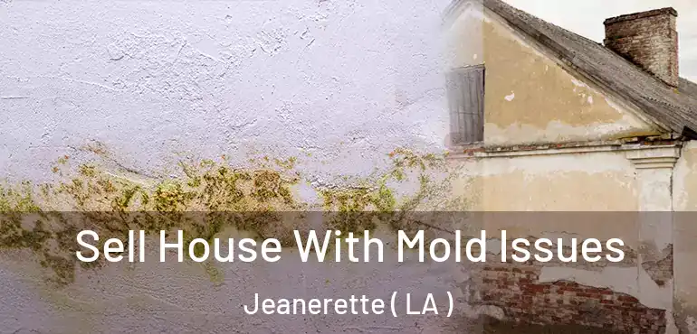  Sell House With Mold Issues Jeanerette ( LA )