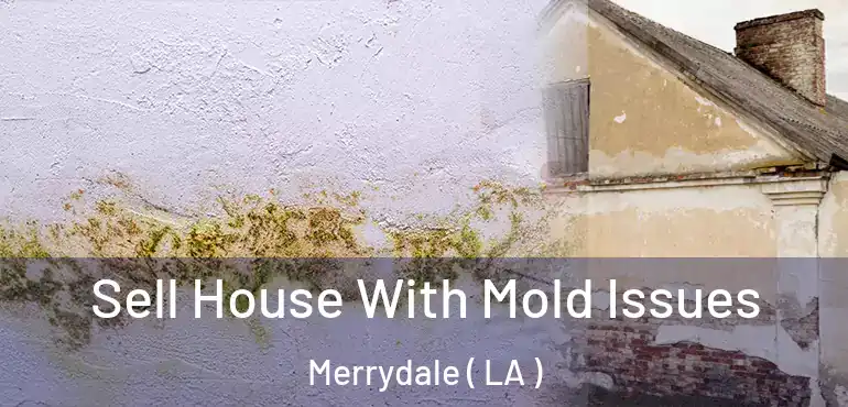  Sell House With Mold Issues Merrydale ( LA )