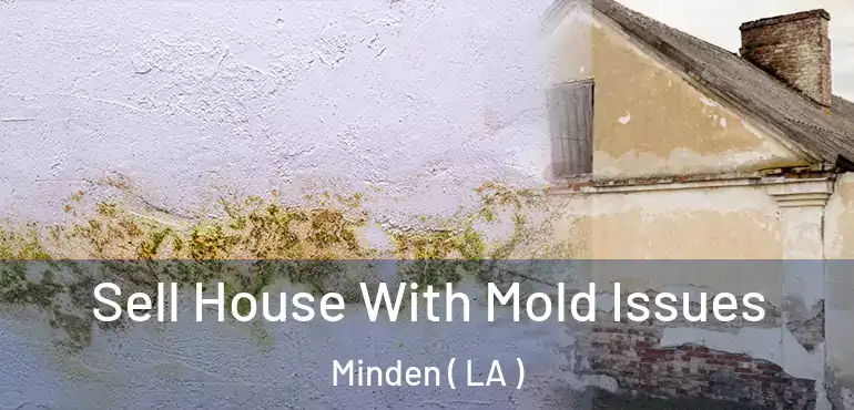  Sell House With Mold Issues Minden ( LA )