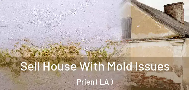 Sell House With Mold Issues Prien ( LA )
