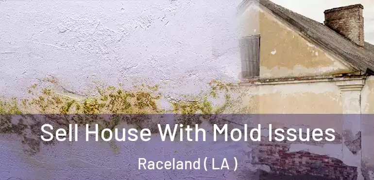  Sell House With Mold Issues Raceland ( LA )