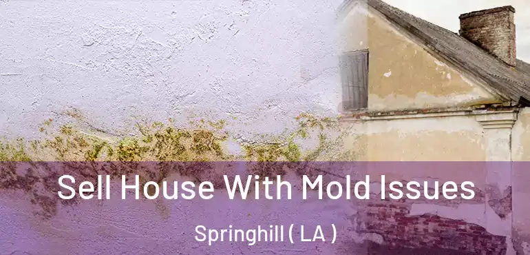  Sell House With Mold Issues Springhill ( LA )