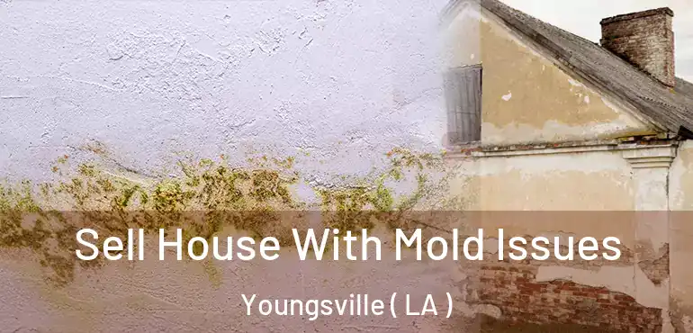  Sell House With Mold Issues Youngsville ( LA )