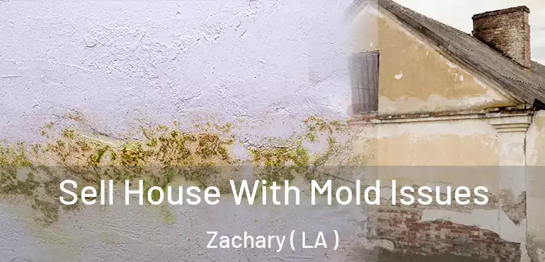  Sell House With Mold Issues Zachary ( LA )
