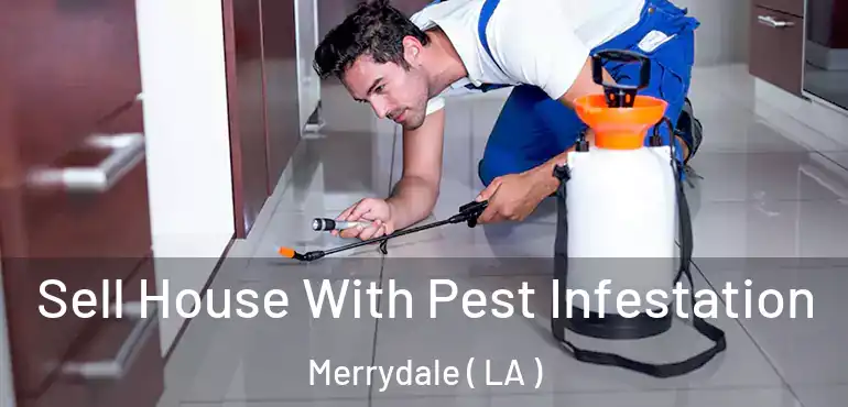  Sell House With Pest Infestation Merrydale ( LA )
