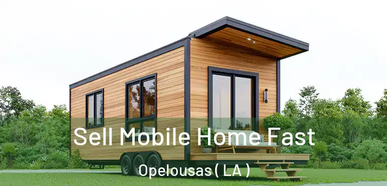  Sell Mobile Home Fast Opelousas ( LA )