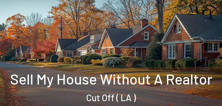  Sell My House Without A Realtor Cut Off ( LA )
