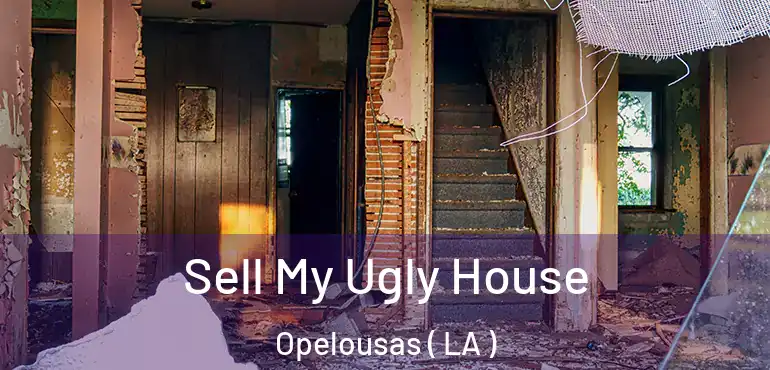  Sell My Ugly House Opelousas ( LA )