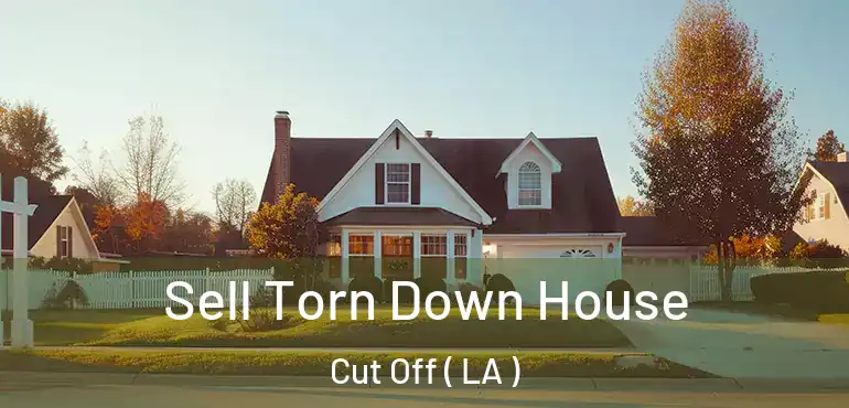  Sell Torn Down House Cut Off ( LA )