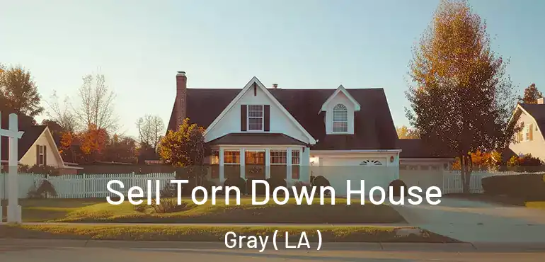  Sell Torn Down House Gray ( LA )
