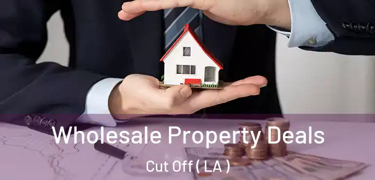  Wholesale Property Deals Cut Off ( LA )