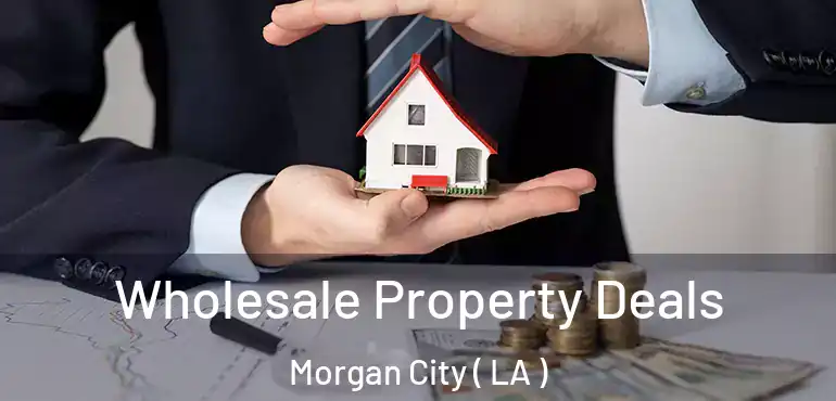  Wholesale Property Deals Morgan City ( LA )